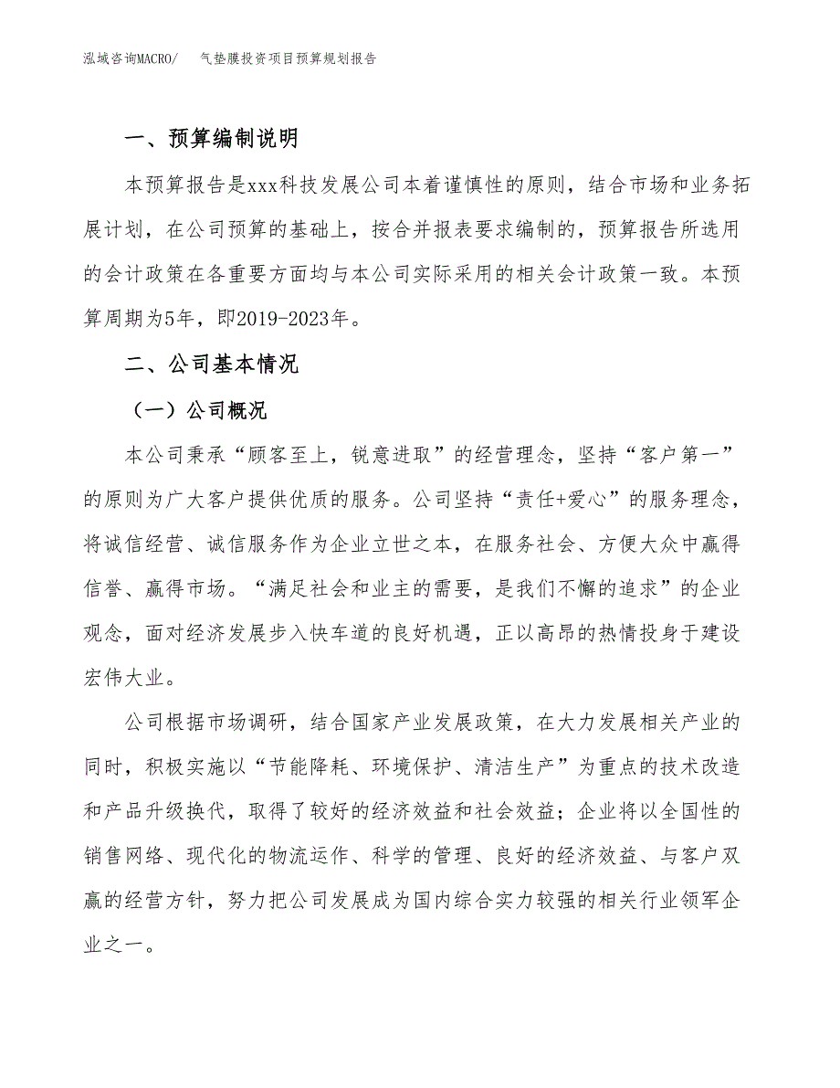 气垫膜投资项目预算规划报告_第2页