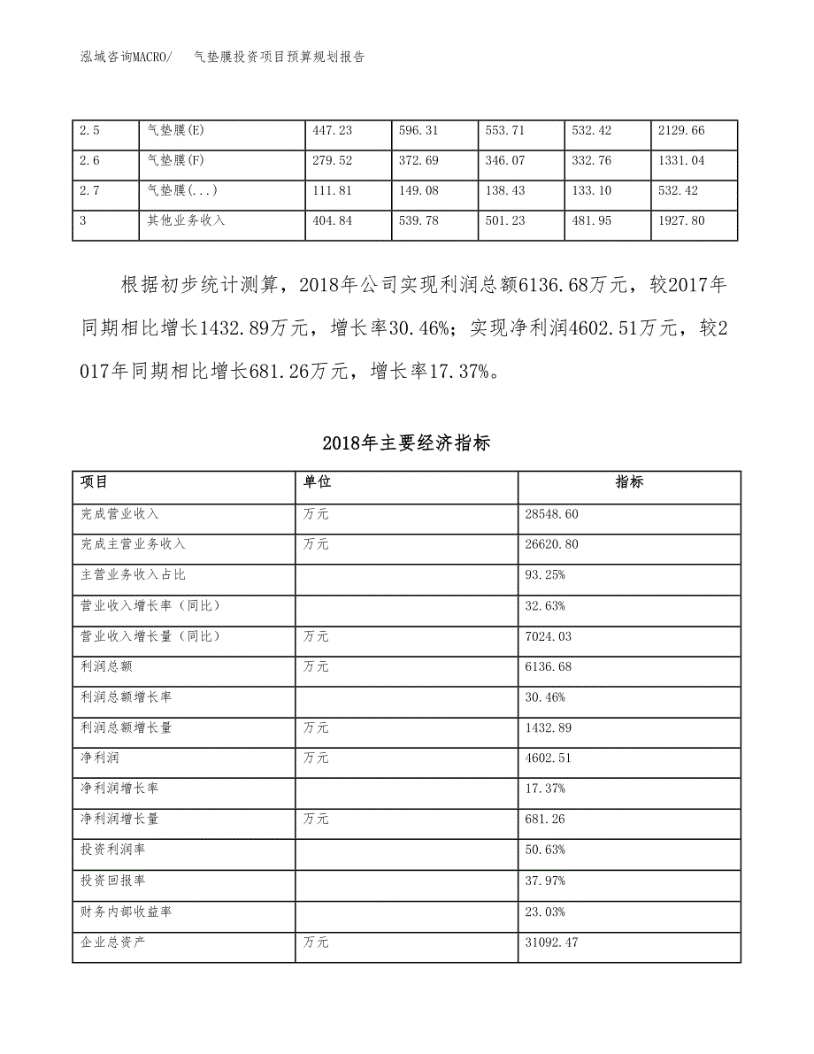 气垫膜投资项目预算规划报告_第4页