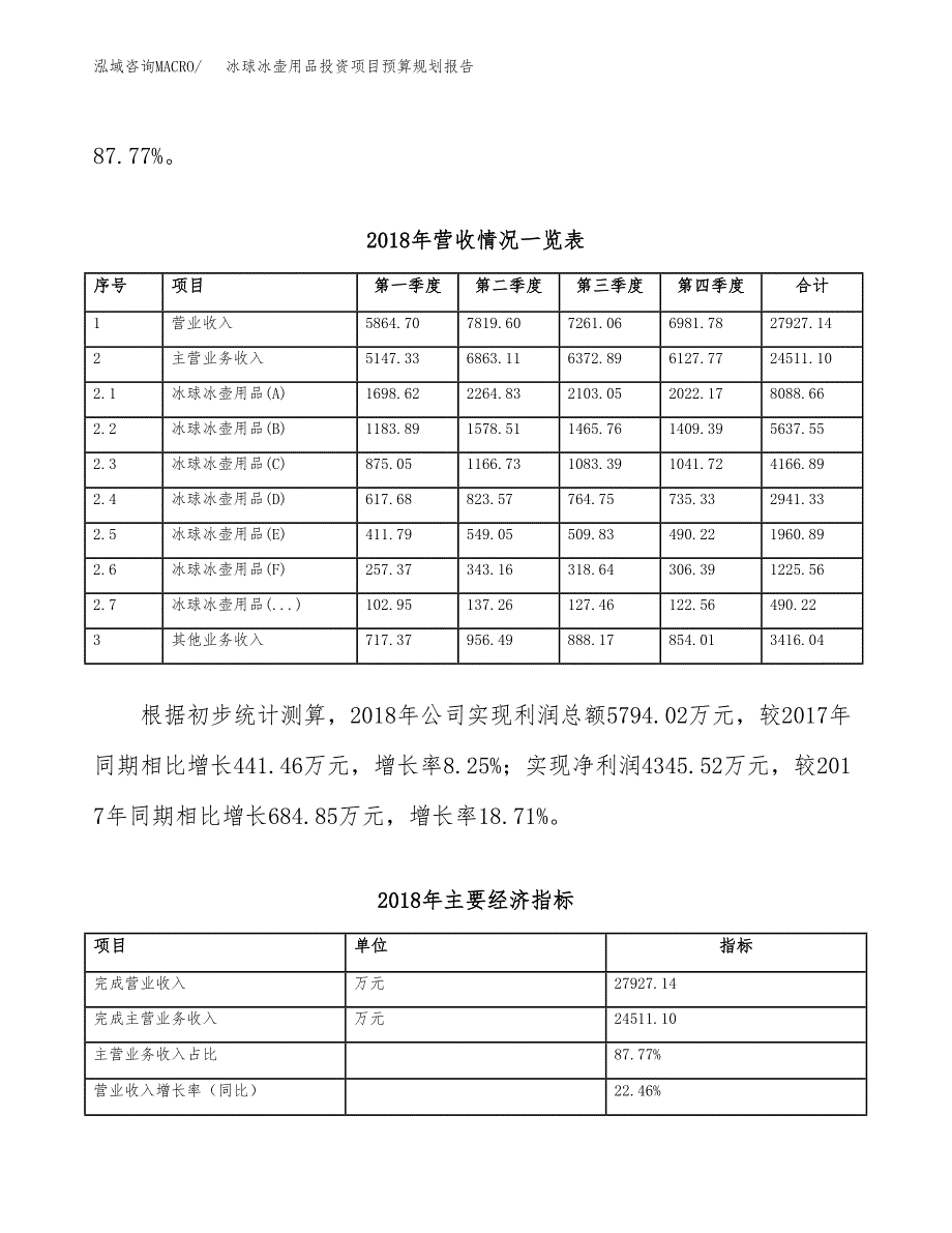 冰球冰壶用品投资项目预算规划报告_第3页