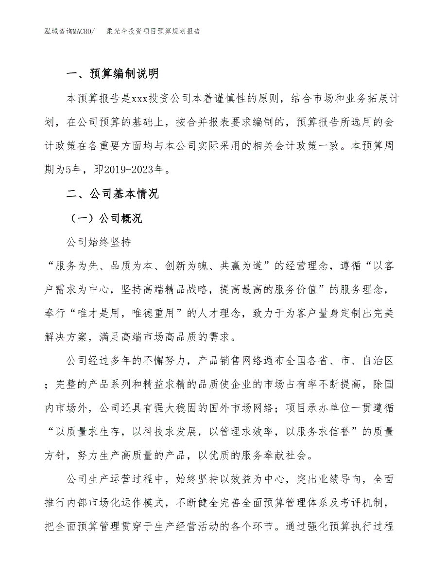 柔光伞投资项目预算规划报告_第2页