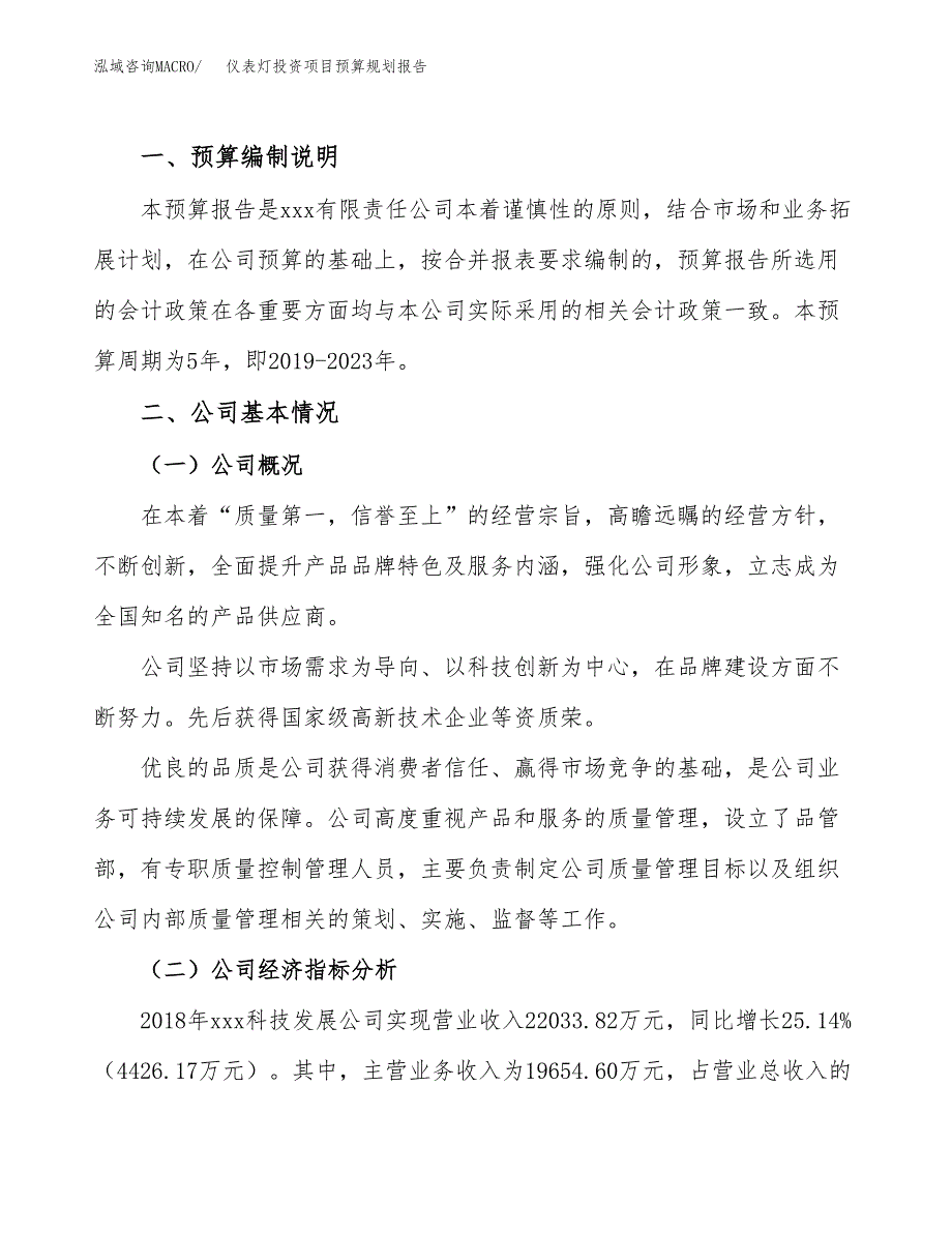 仪表灯投资项目预算规划报告_第2页