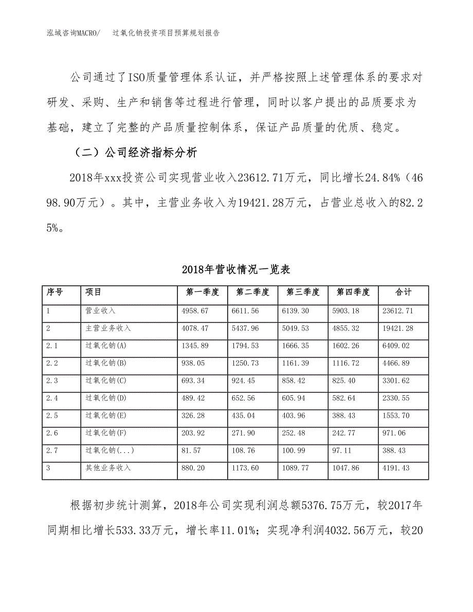 过氧化钠投资项目预算规划报告_第3页