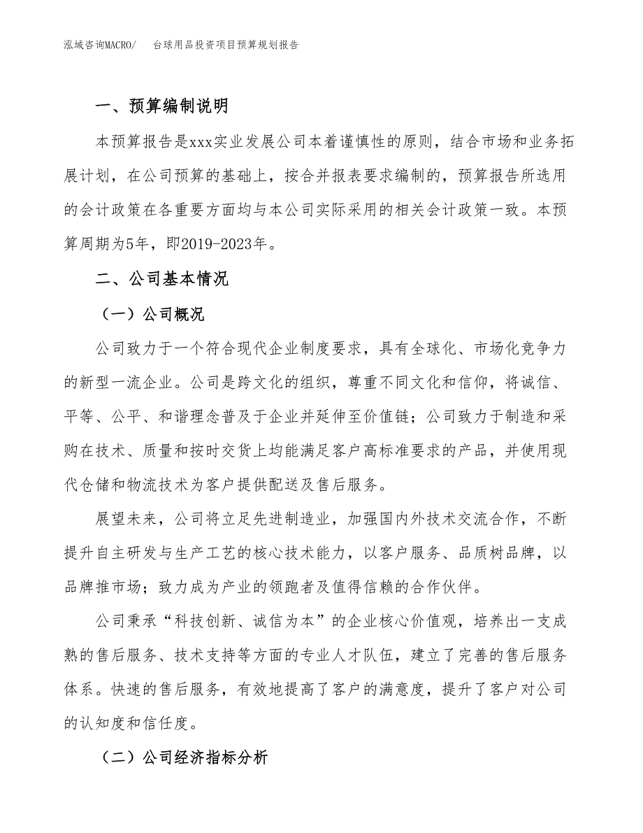 台球用品投资项目预算规划报告_第2页