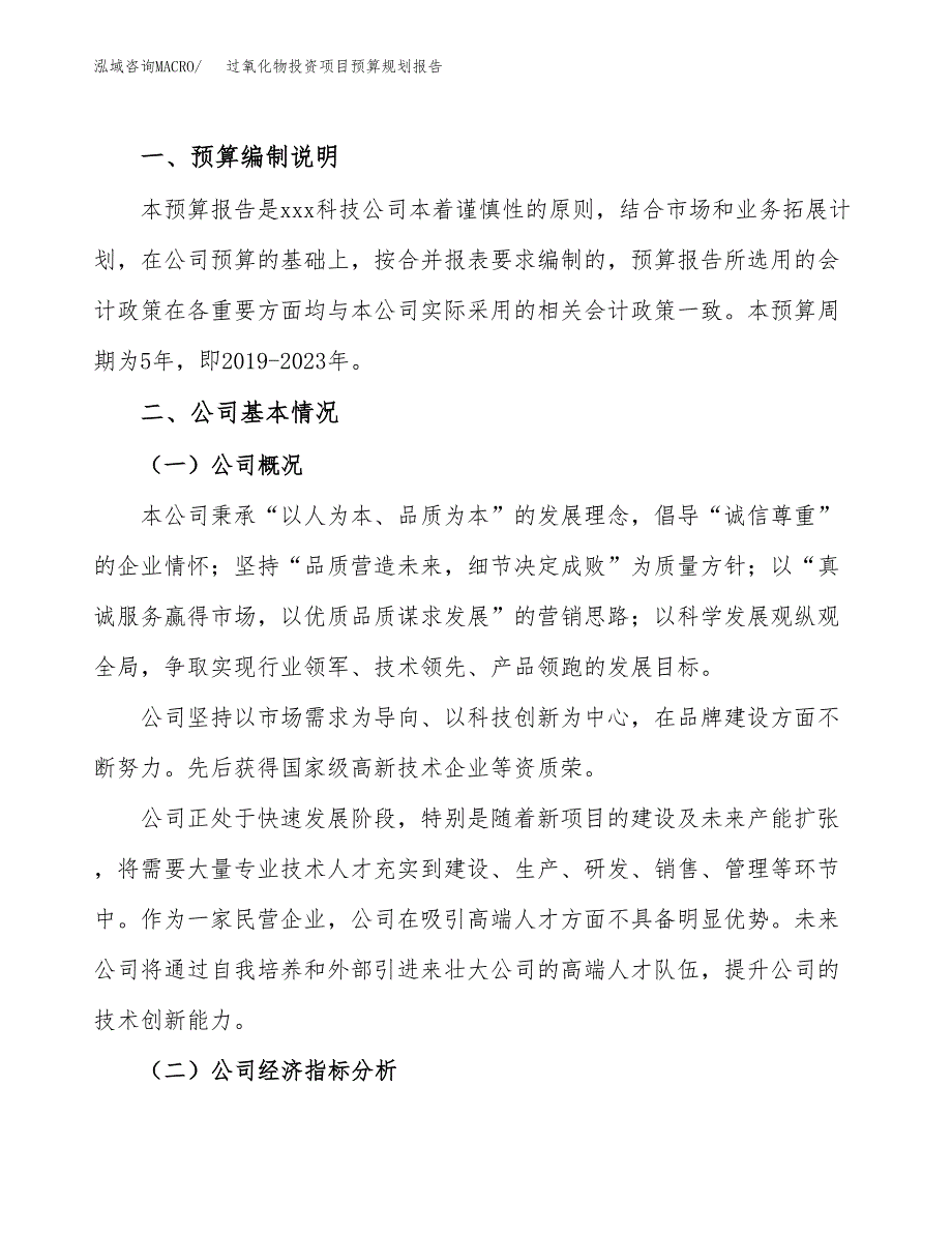 过氧化物投资项目预算规划报告_第2页