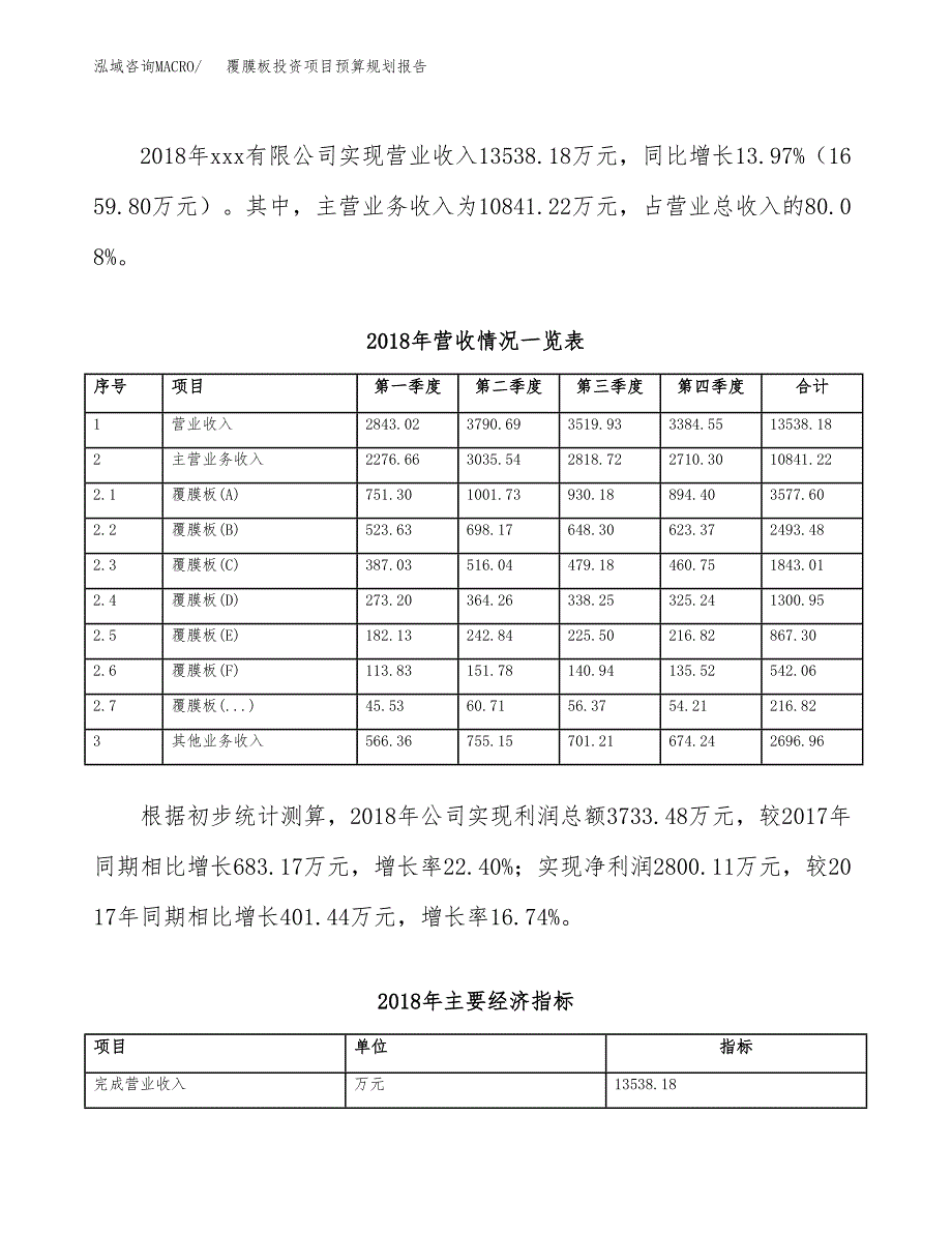 覆膜板投资项目预算规划报告_第3页