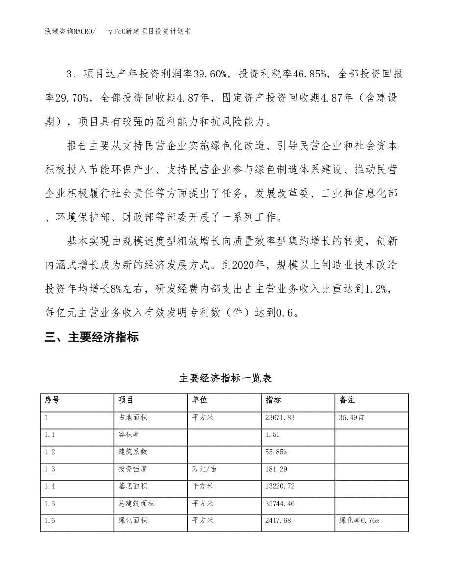 γFeO新建项目投资计划书_第5页