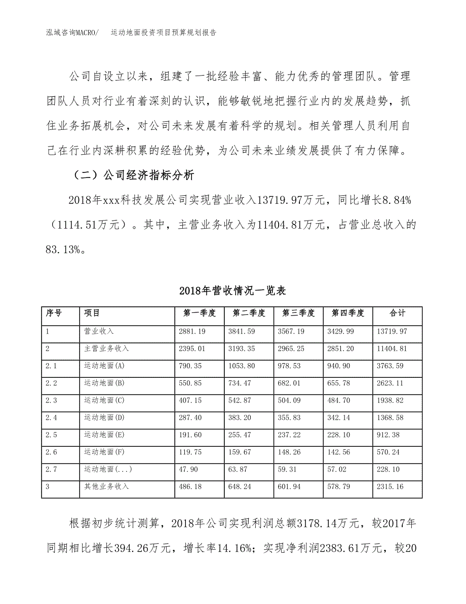 运动地面投资项目预算规划报告_第3页