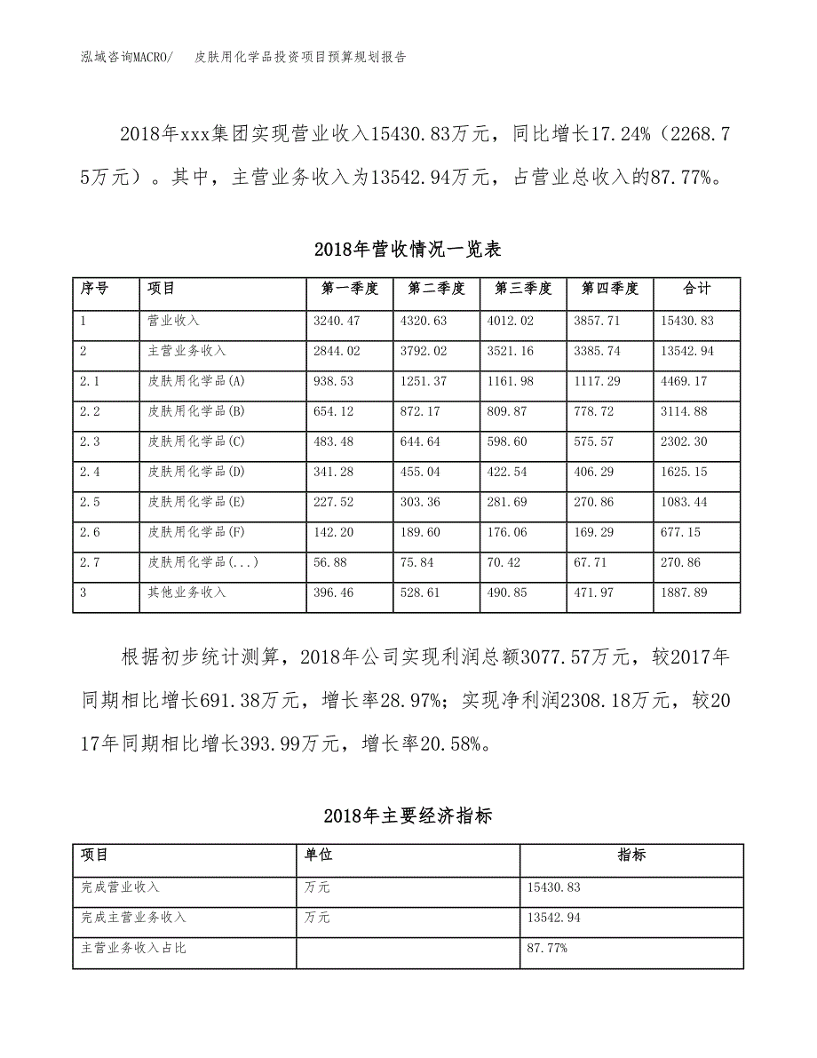 皮肤用化学品投资项目预算规划报告_第3页