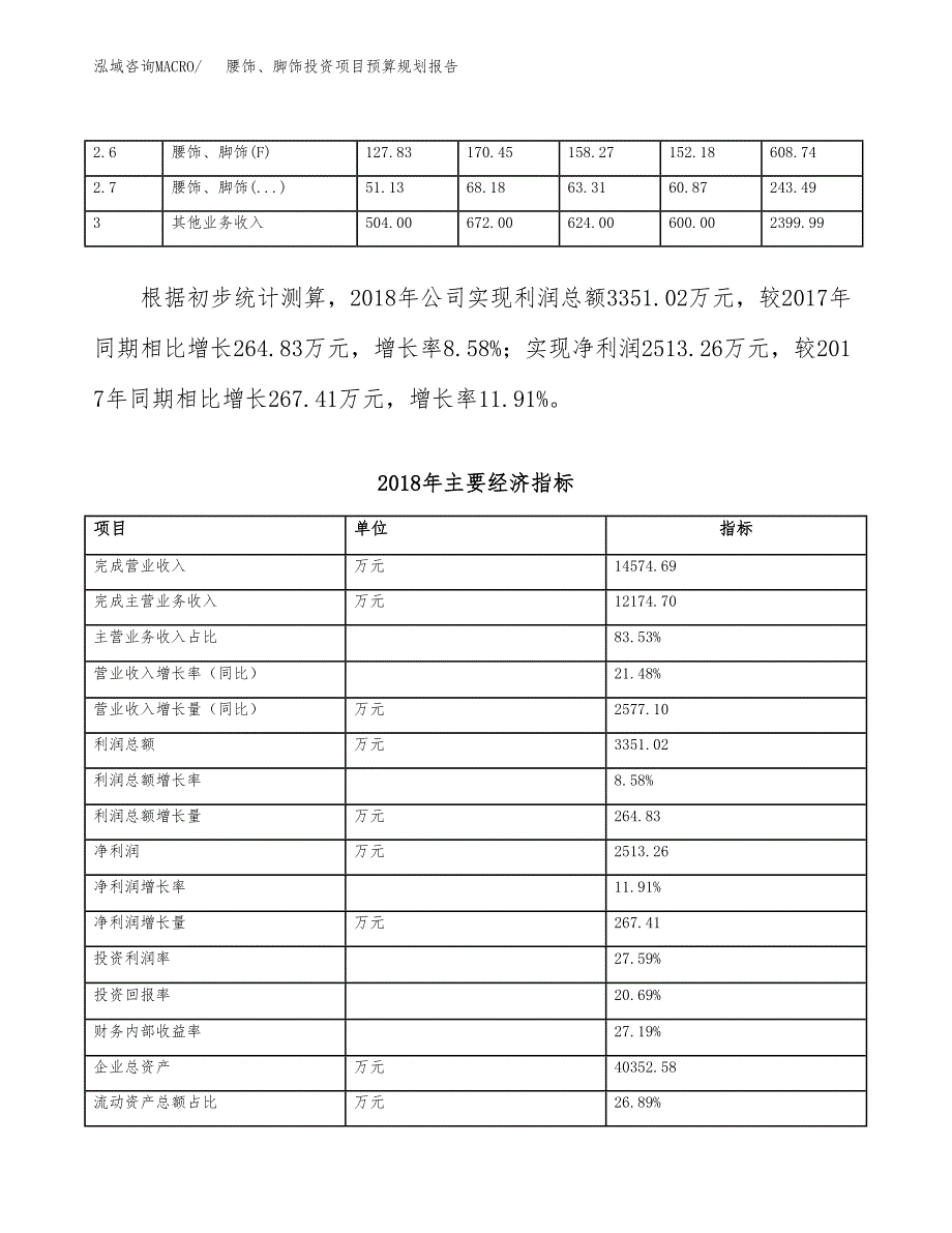 腰饰、脚饰投资项目预算规划报告_第4页