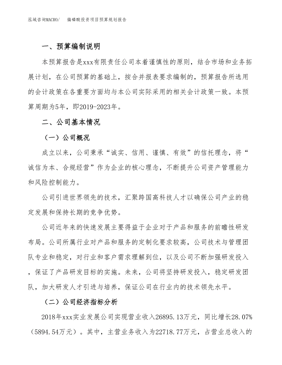 偏磷酸投资项目预算规划报告_第2页