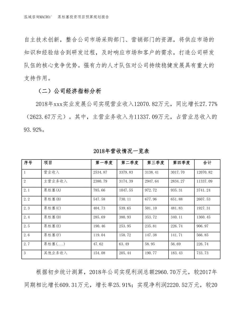 泵柱塞投资项目预算规划报告_第3页