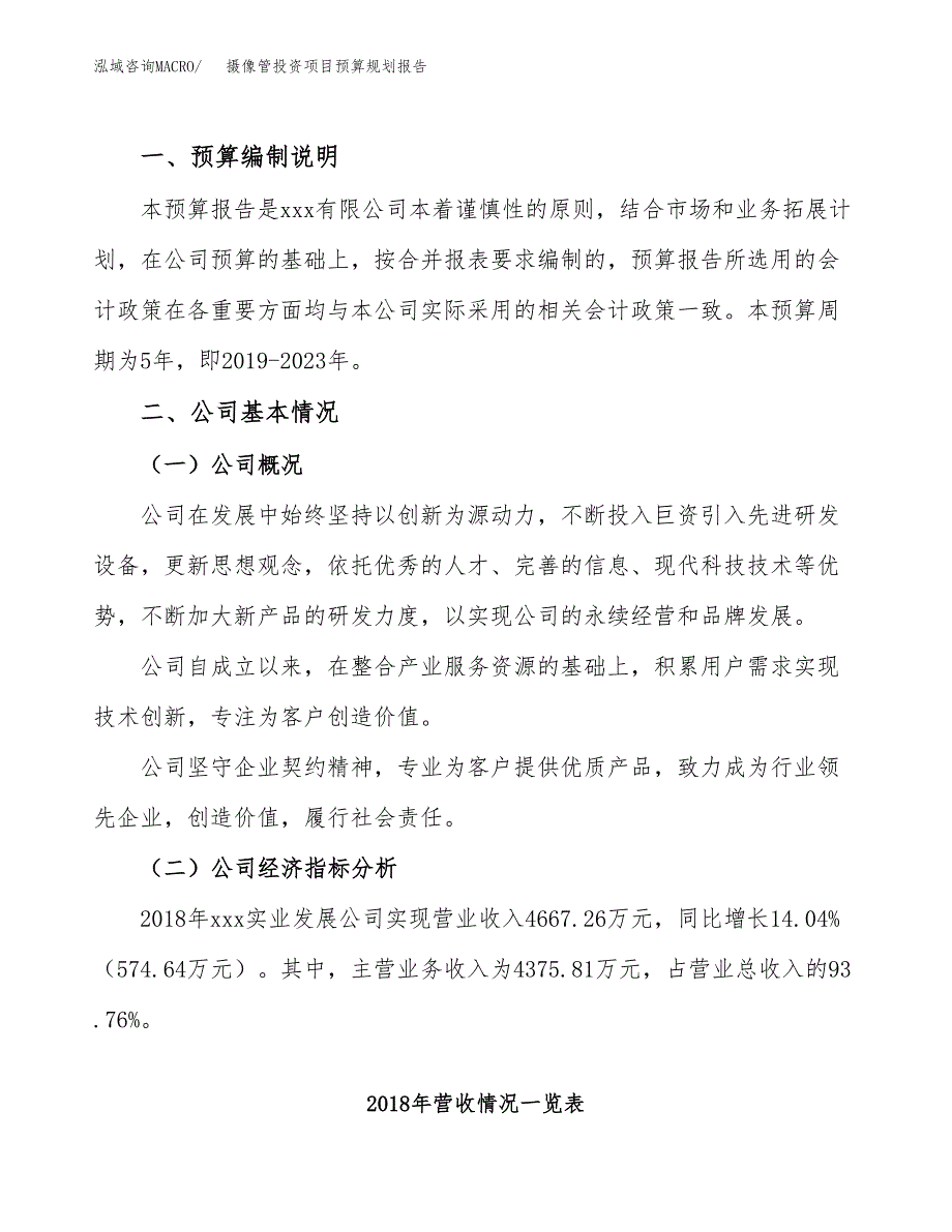 摄像管投资项目预算规划报告_第2页