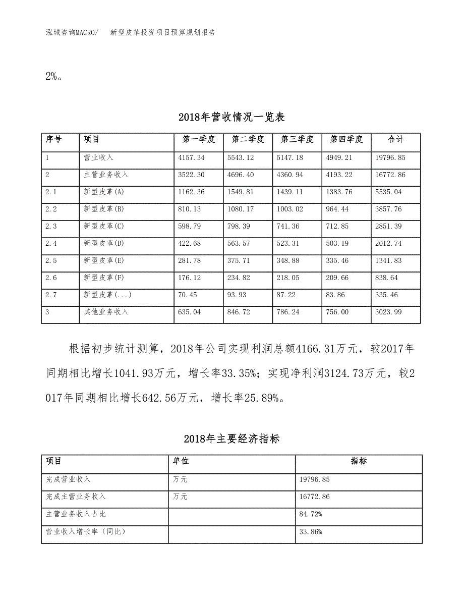 新型皮革投资项目预算规划报告_第3页