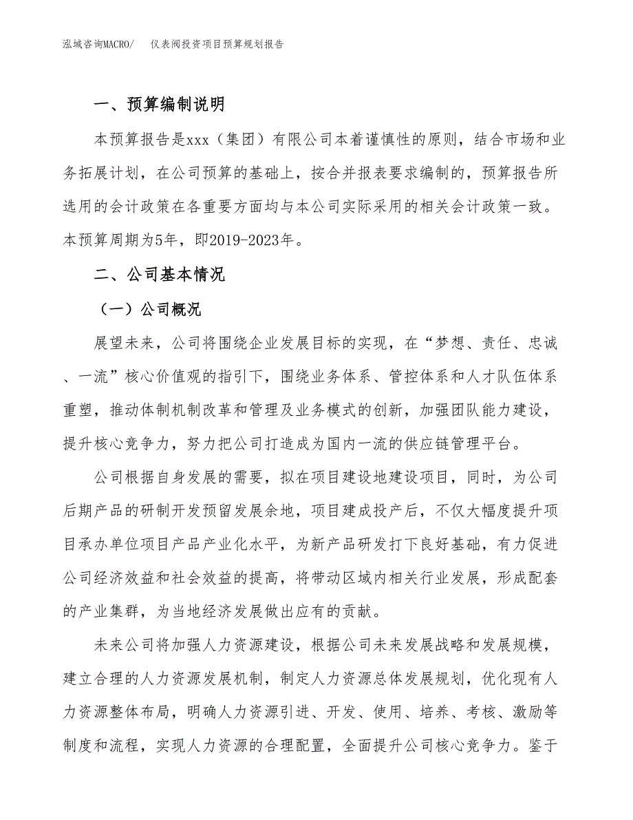 仪表阀投资项目预算规划报告_第2页