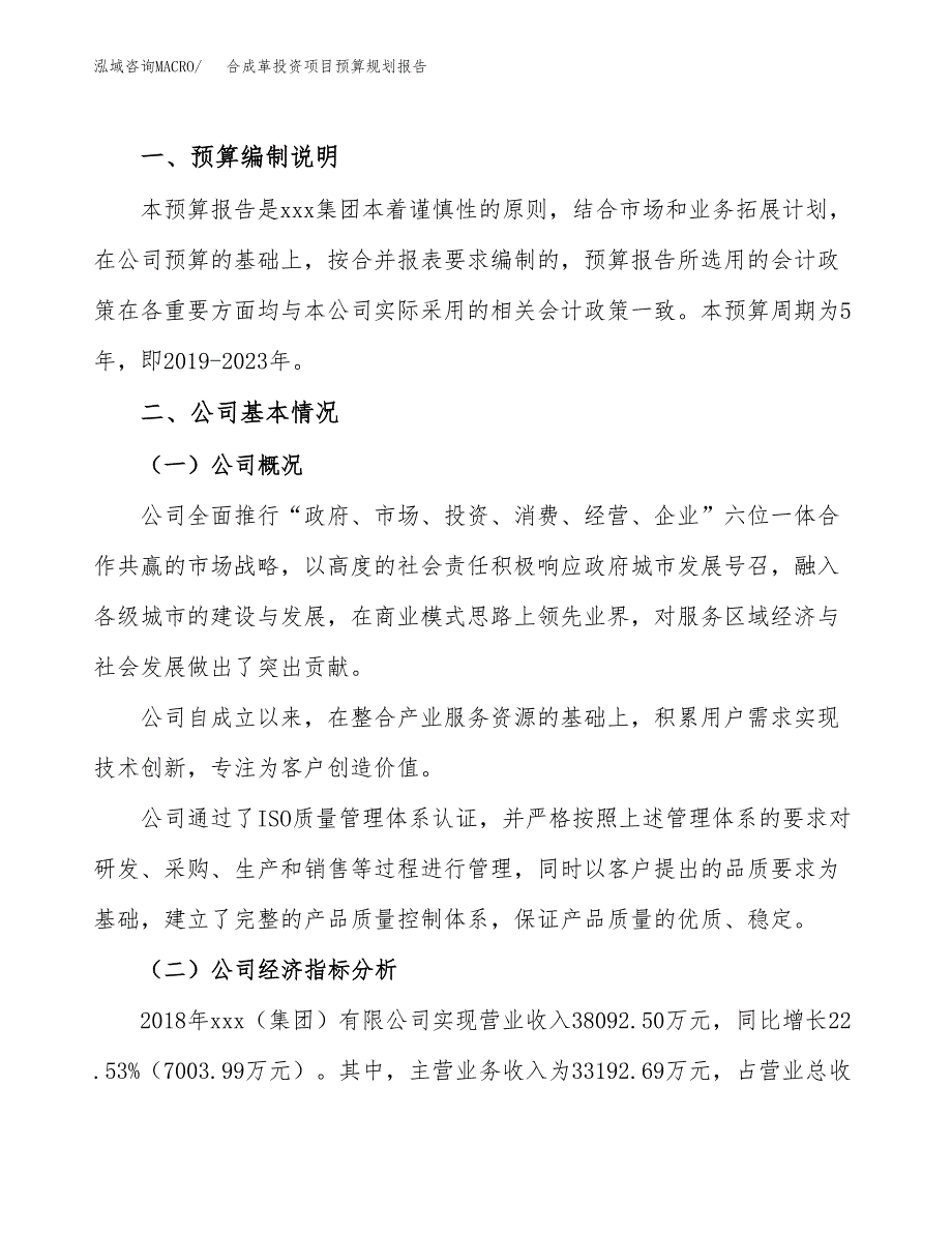 合成革投资项目预算规划报告_第2页