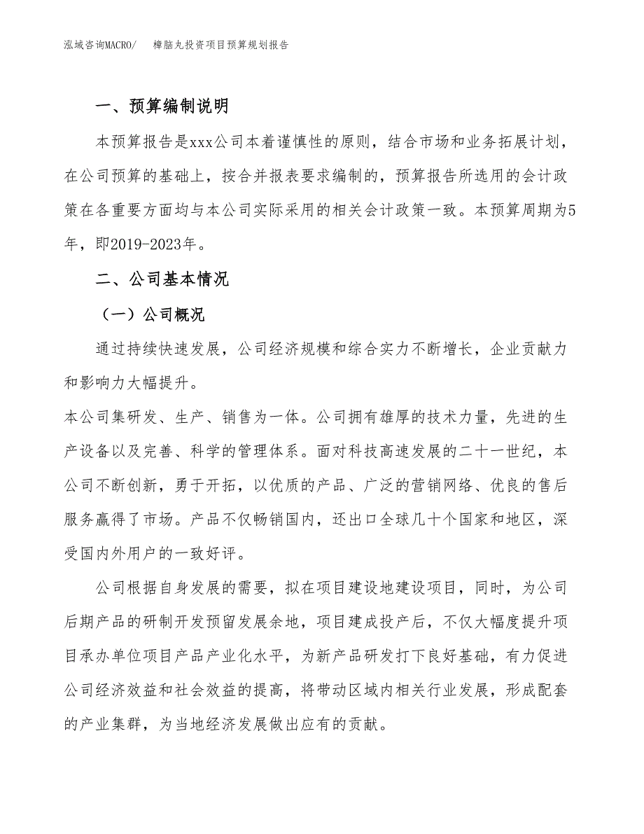 樟脑丸投资项目预算规划报告_第2页