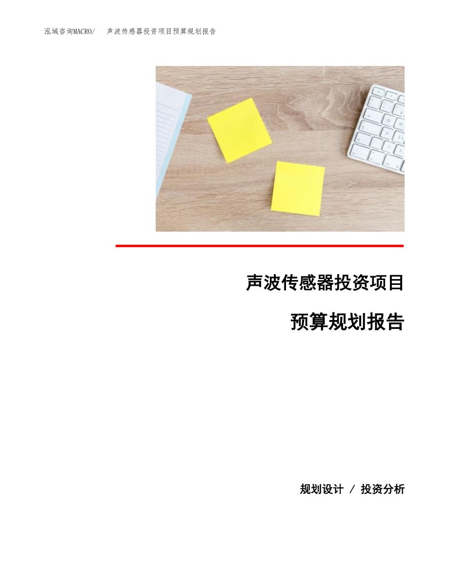 声波传感器投资项目预算规划报告_第1页