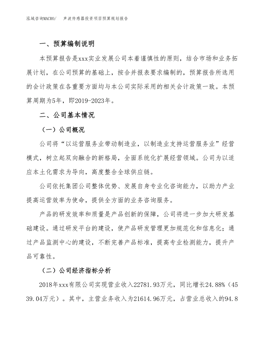 声波传感器投资项目预算规划报告_第2页