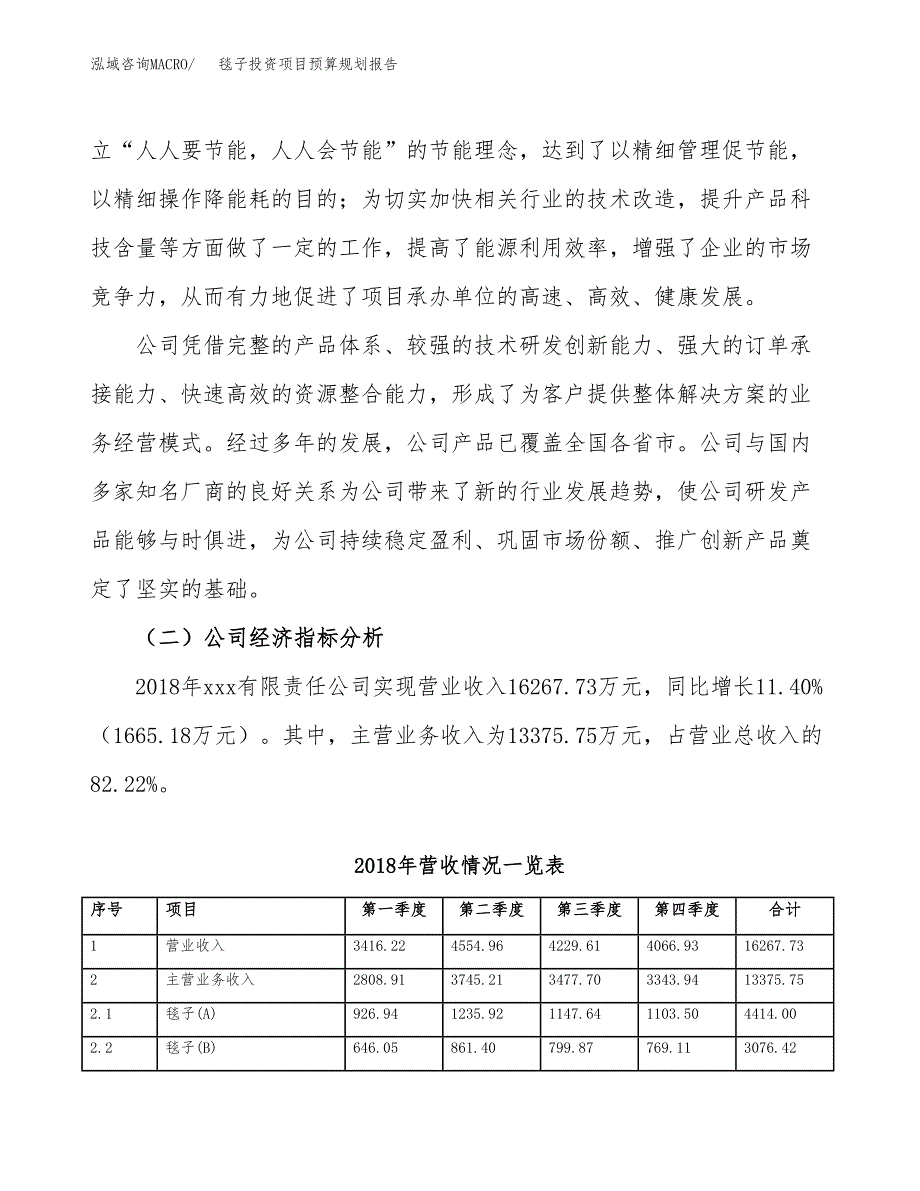 毯子投资项目预算规划报告_第3页