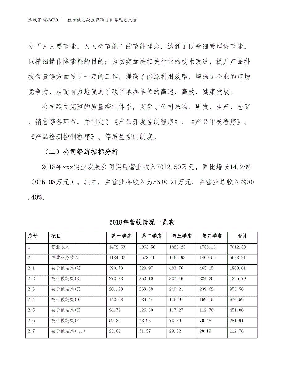 被子被芯类投资项目预算规划报告_第3页