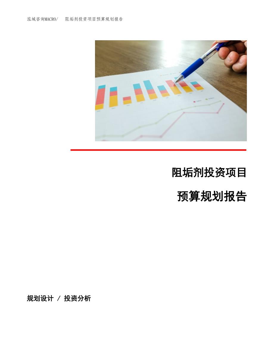 阻垢剂投资项目预算规划报告_第1页