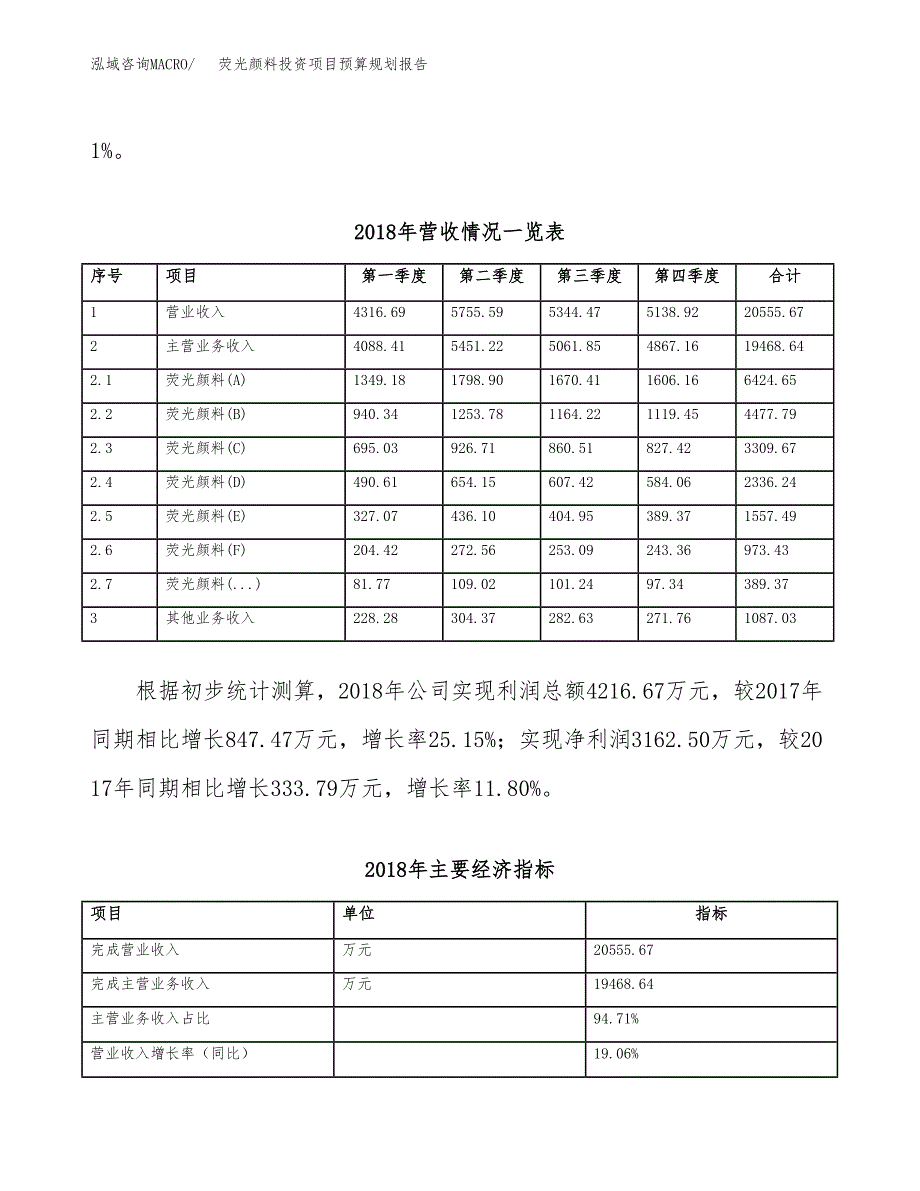 荧光颜料投资项目预算规划报告_第3页