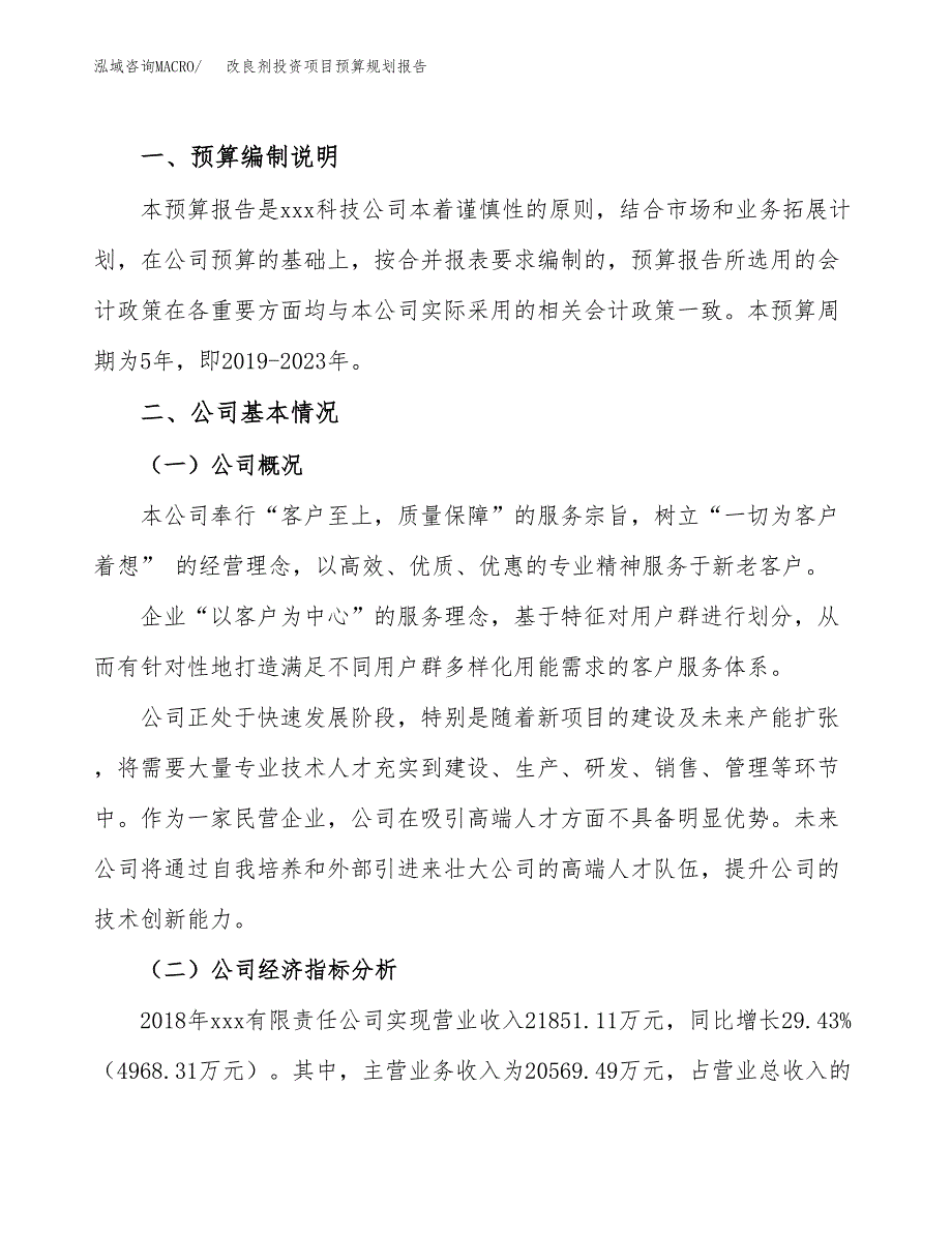 改良剂投资项目预算规划报告_第2页