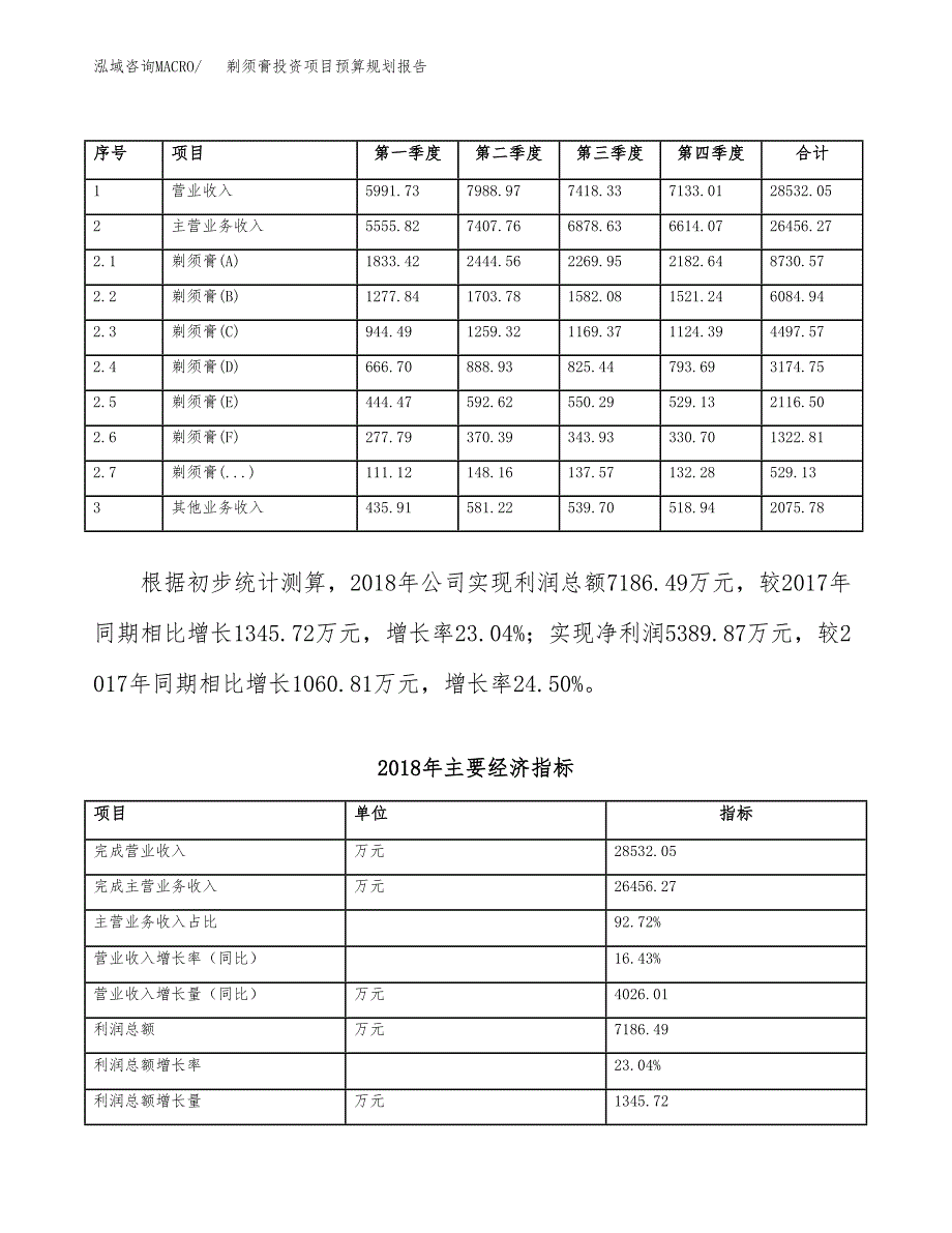 剃须膏投资项目预算规划报告_第3页