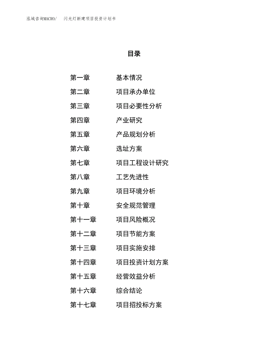 闪光灯新建项目投资计划书_第1页