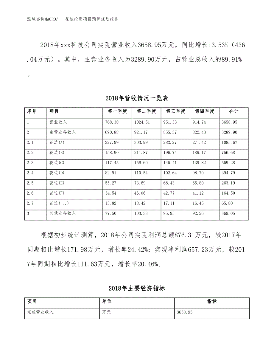 花边投资项目预算规划报告_第3页
