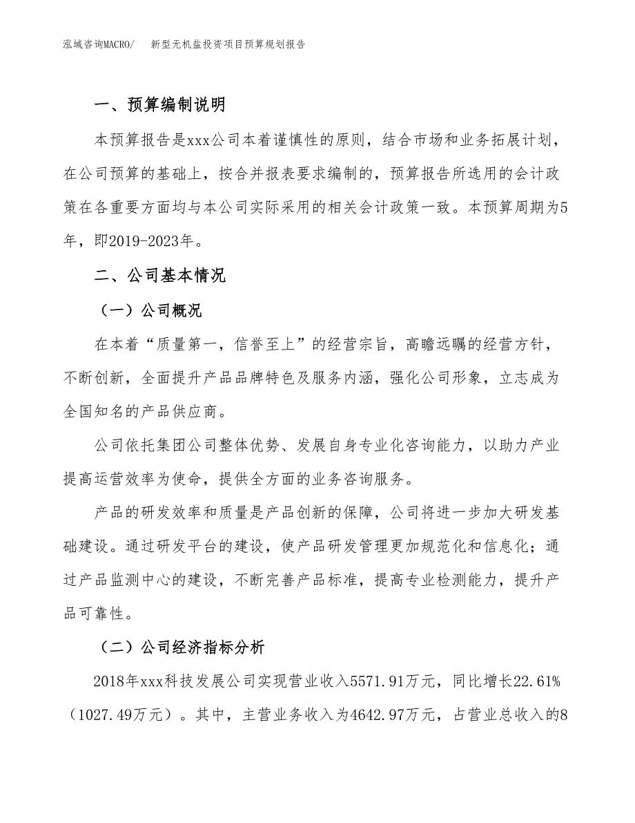 新型无机盐投资项目预算规划报告_第2页