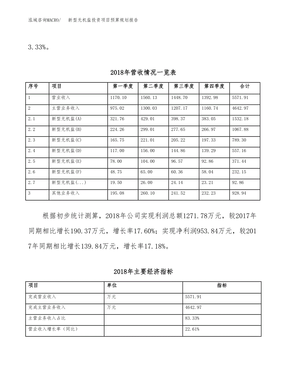 新型无机盐投资项目预算规划报告_第3页