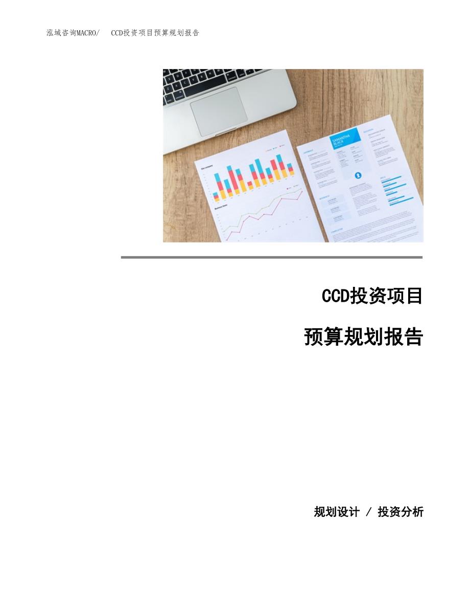 CCD投资项目预算规划报告_第1页