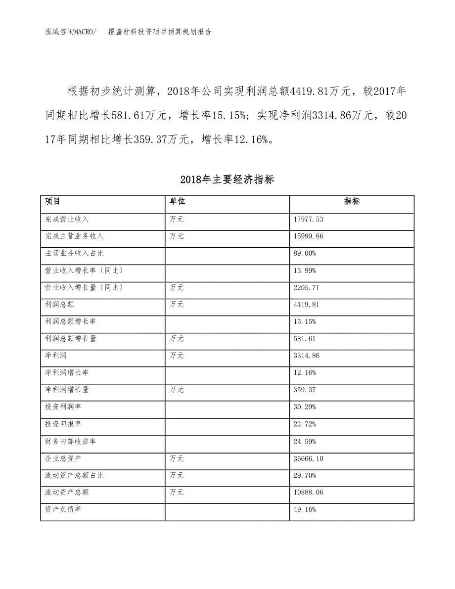 覆盖材料投资项目预算规划报告_第4页