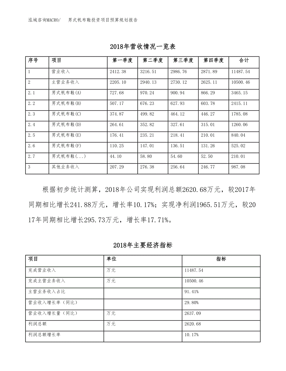 男式帆布鞋投资项目预算规划报告_第3页