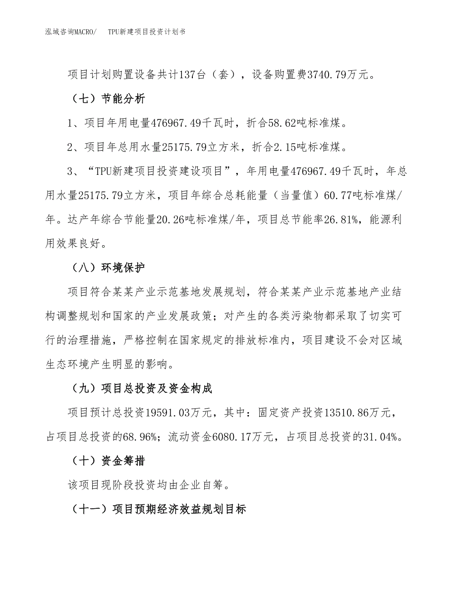 TPU新建项目投资计划书_第3页