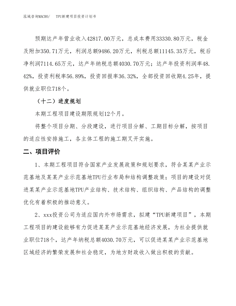 TPU新建项目投资计划书_第4页