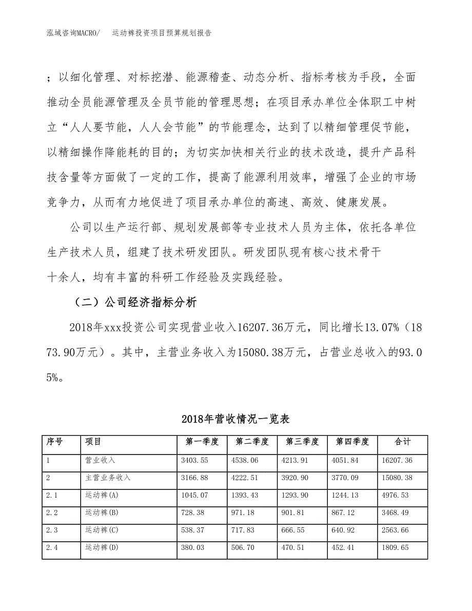 运动裤投资项目预算规划报告_第3页