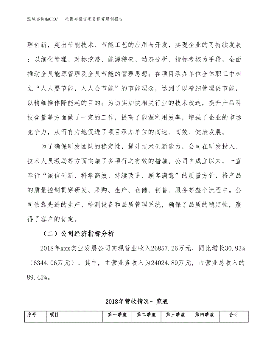 毛圈布投资项目预算规划报告_第3页