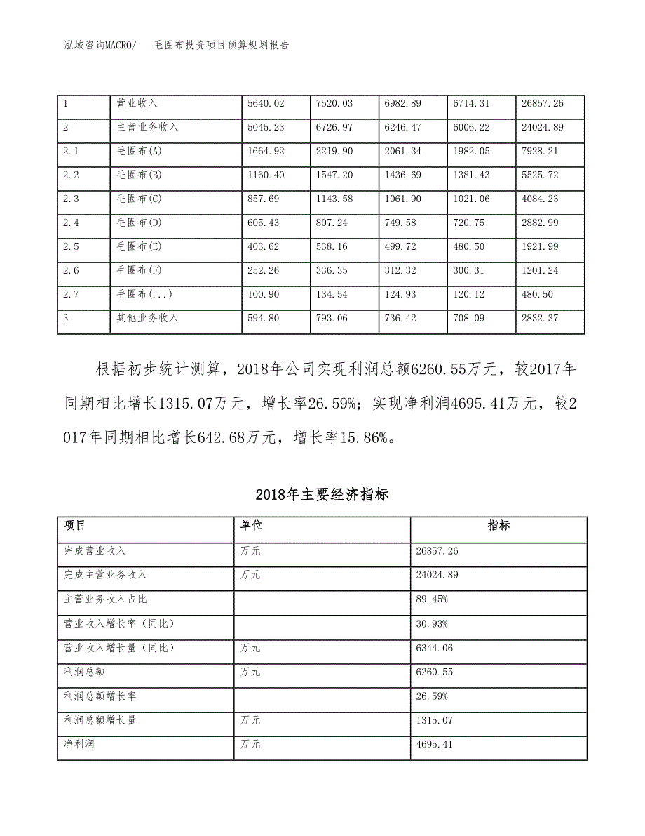 毛圈布投资项目预算规划报告_第4页