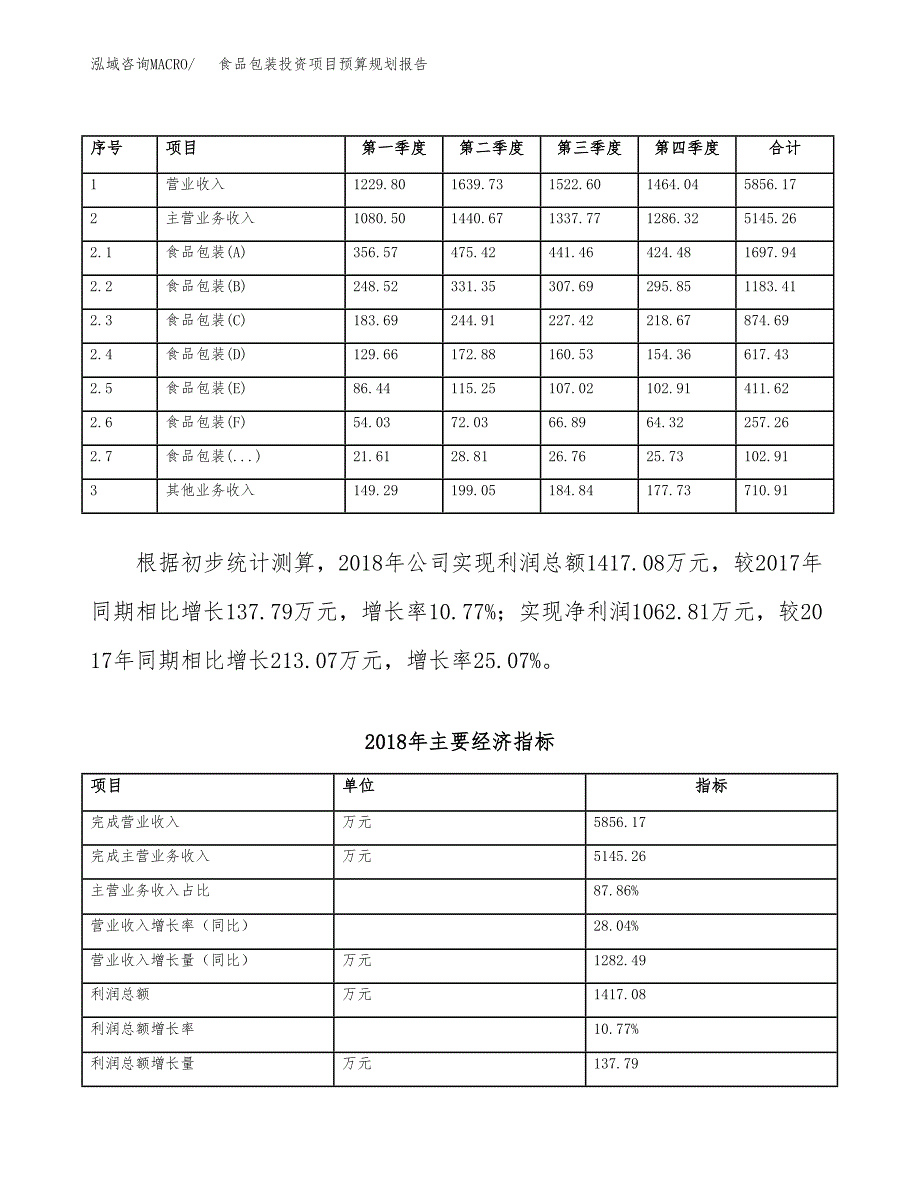 食品包装投资项目预算规划报告_第4页