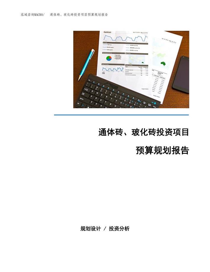 通体砖、玻化砖投资项目预算规划报告