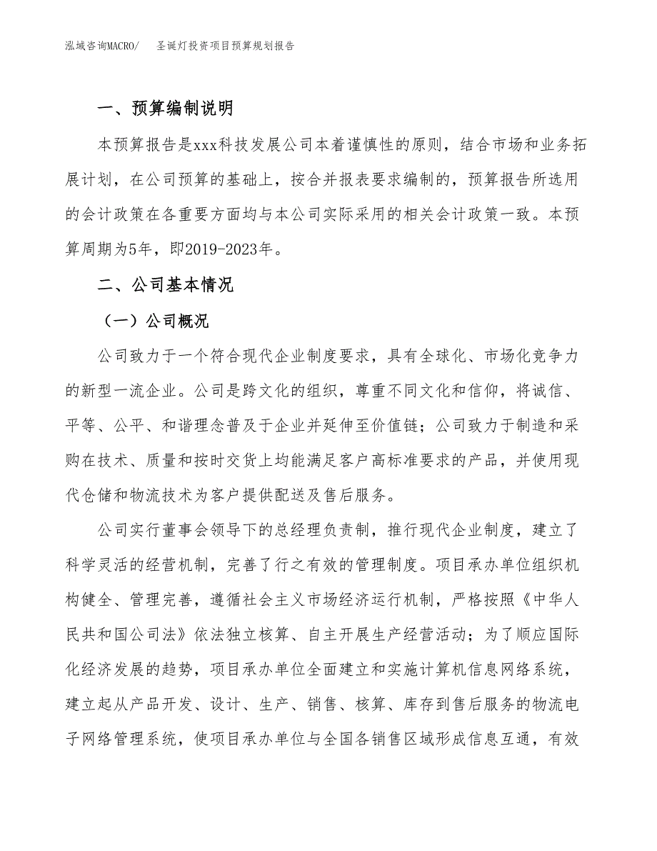 圣诞灯投资项目预算规划报告_第2页