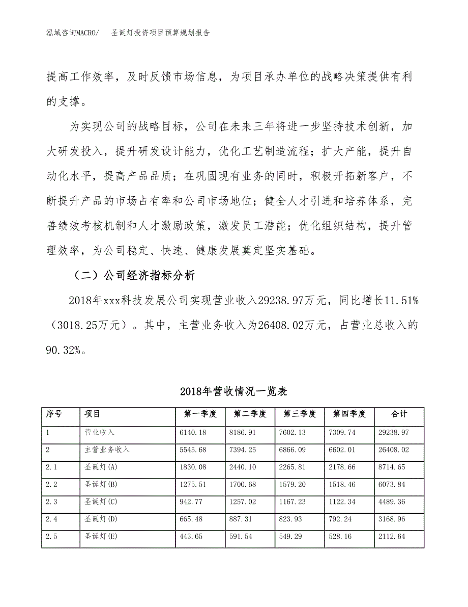 圣诞灯投资项目预算规划报告_第3页