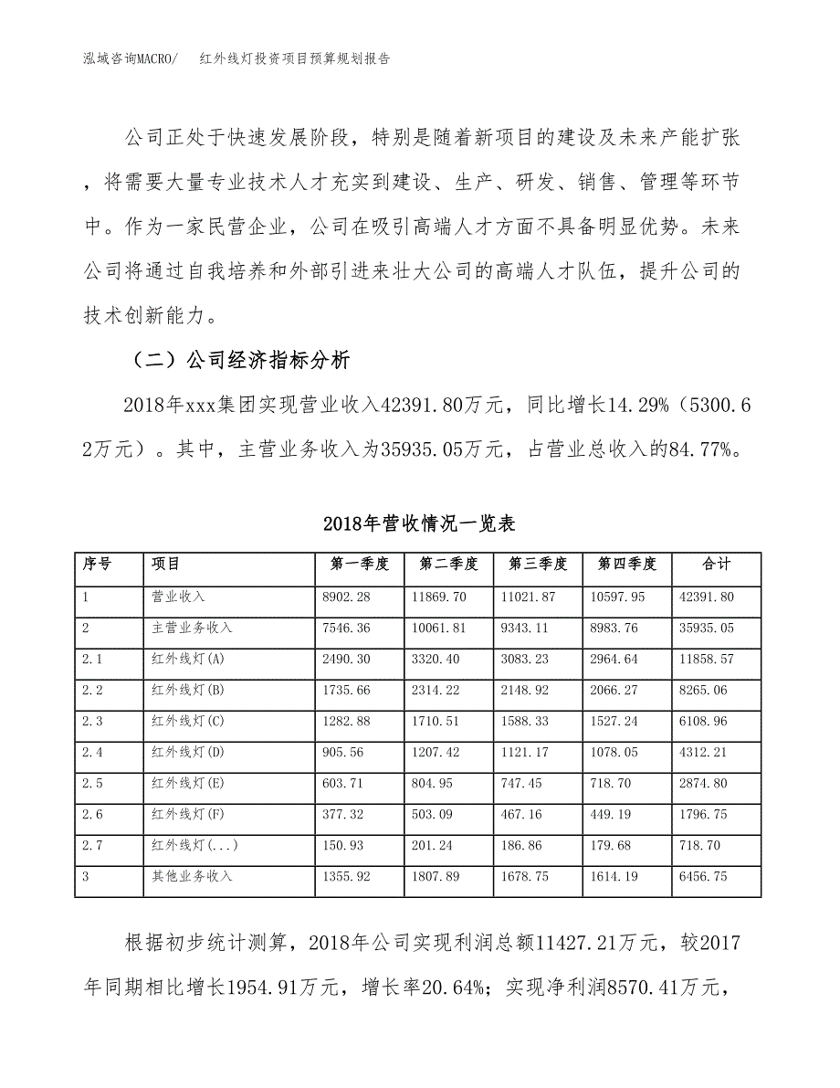 红外线灯投资项目预算规划报告_第3页