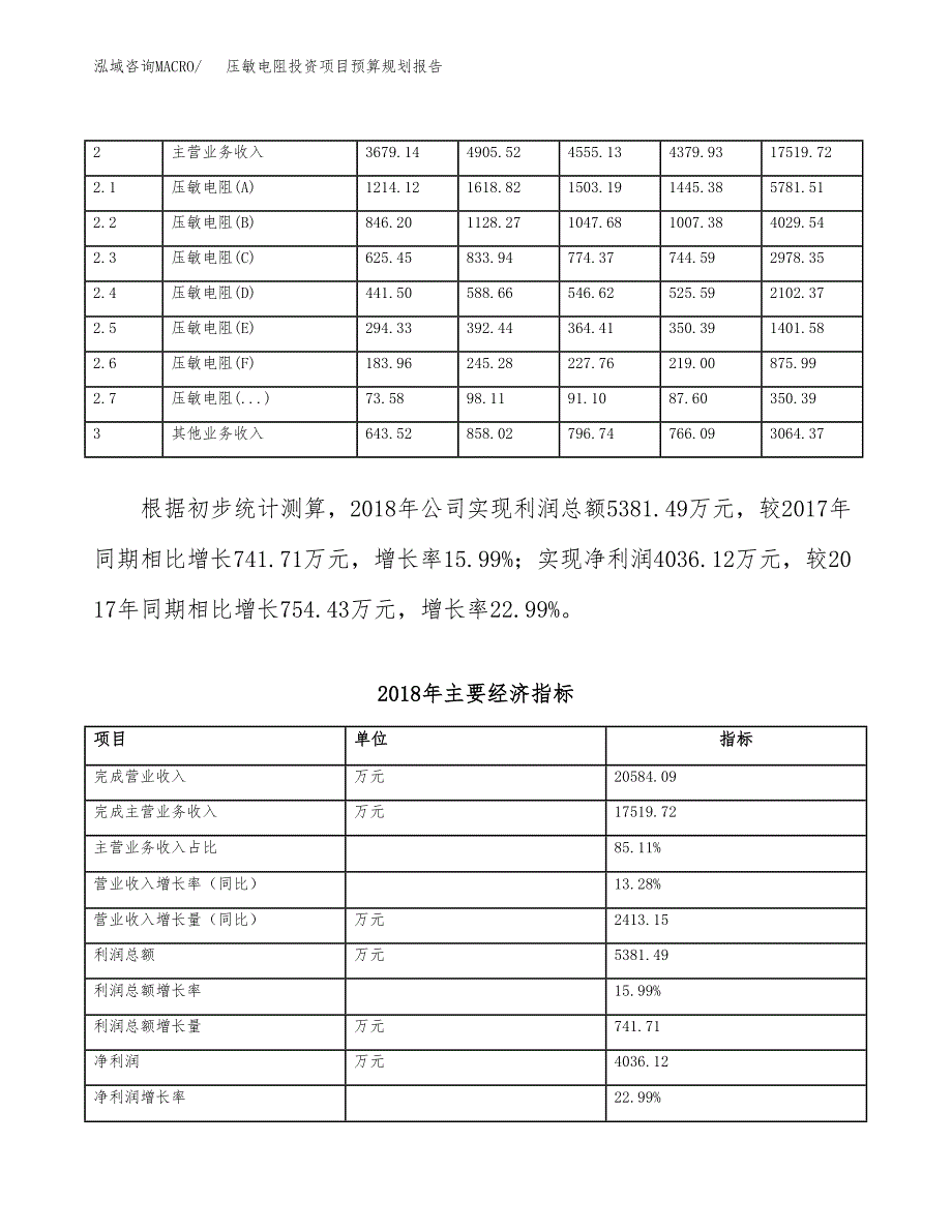 压敏电阻投资项目预算规划报告_第4页