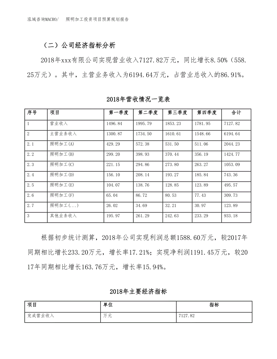 照明加工投资项目预算规划报告_第3页