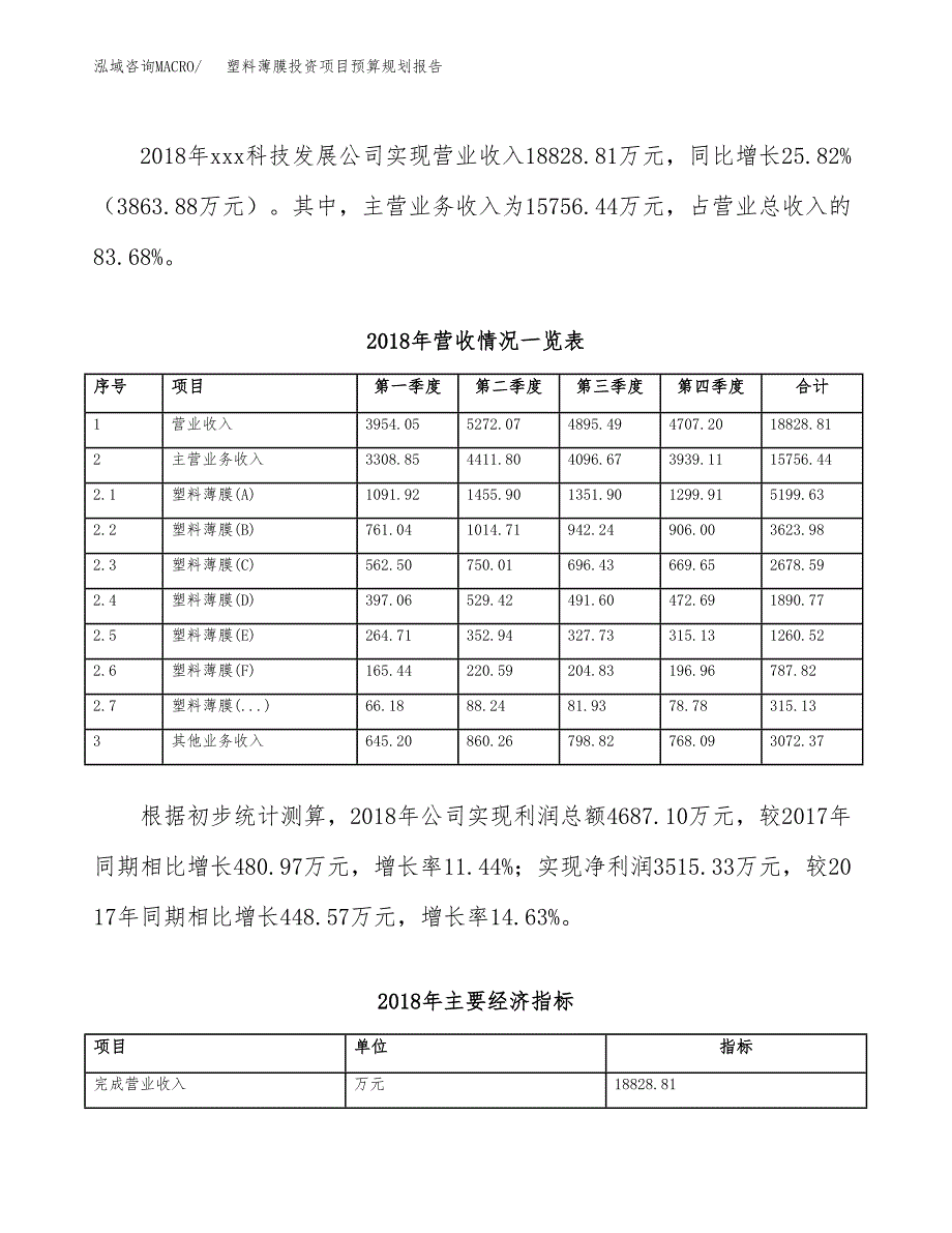 塑料薄膜投资项目预算规划报告_第3页