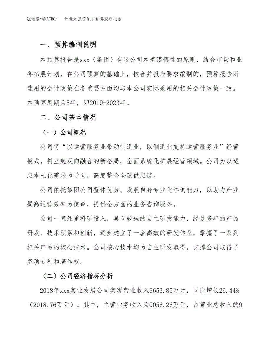 计量泵投资项目预算规划报告_第2页