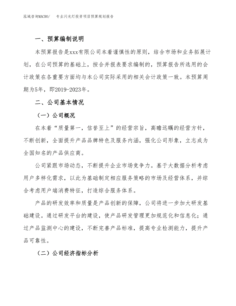 专业闪光灯投资项目预算规划报告_第2页